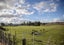 858B Norfolk Road, Carterton - Carousel 6