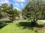 13 Glenview Terrace, Glenview, Hamilton - Carousel 5