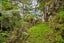 40 Waiparera Road, Onerahi - Carousel 9