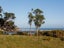 0 Mokau Road, Mohakatino, Mokau - Carousel 8
