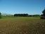 77 Day Road, Te Awamutu, Ohaupo - Carousel 1