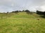 0 Kaitaia Awaroa Road, Ahipara, Kaitaia - Carousel 6
