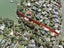 26 RAMBLER Crescent, Beach Haven, North Shore City - Carousel 3