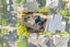 21A Temple Street, Meadowbank, Auckland - Carousel 20