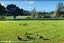 100 Sylvan Avenue, Northcote, Auckland - Carousel 18
