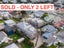 20 Reef Street, Island Bay, Wellington - Carousel 1