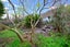 54 Campbell Street, Nelson South, Nelson - Carousel 14