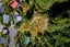 19 Caples Place, Fernhill, Queenstown - Carousel 3