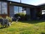 80 Brickfield Road, Blue Spur, Hokitika - Carousel 26