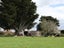 133 Carters Terrace, Tinwald, Ashburton - Carousel 14