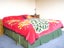 25 Leicester Street, Terrace End, Palmerston North - Carousel 4