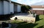 92 Fitzroy Street, Terrace End, Palmerston North - Carousel 10