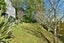 7A Hand Road, Helensville, Helensville - Carousel 16
