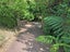 25 Kennedy Road, Surfdale, Waiheke Island - Carousel 12