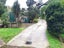 258A Ruatuna Road, Waiotahe, Ōpōtiki - Carousel 27
