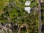 2 Junction Road, Oneroa, Waiheke Island - Carousel 10