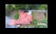 625 Kamo Road, Kamo, Whangarei - Carousel 12