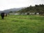 136 Charming Creek Road, SEDDONVILLE, WESTPORT - Carousel 13