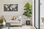 16/50 Livingstone Street, Grey Lynn, Auckland - Carousel 2