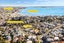 17 Rarangi Road, St Heliers, Auckland - Carousel 21