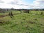 41 Riley Place, Owhango - Carousel 9