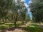 350 Porangahau Road, Waipukurau, Waipukurau - Carousel 24