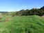 671A Paerata Ridge Road, Waiotahe, Opotiki - Carousel 14