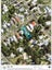 19 Mangapapa Road, Mangapapa, Gisborne - Carousel 24