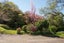 199 Kawaha Point Road, Kawaha Point, Rotorua - Carousel 16