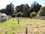 88 Oxford Street, Lansdowne, Masterton - Carousel 20