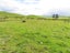 0 Church Rd, Ormondville, Dannevirke - Carousel 15