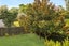 117 Beach Haven Road, Beach Haven, Auckland - Carousel 18
