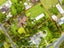 6 Rata Road, Whenuapai, Auckland - Carousel 1