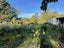 224 Agnew Road, St Andrews - Carousel 15