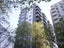 4C/113 Vincent Street, Auckland Central, Auckland - Carousel 1