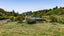 538 Everett Road, Everett Park, Inglewood - Carousel 20