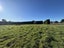 55 Barters Road, Templeton, Christchurch - Carousel 23