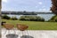 236 Maungatapu Road, Maungatapu, Tauranga - Carousel 2