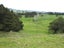 0 Tremain Road, Ruatangata West, Kamo - Carousel 19