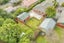 43 Longmuir Street, Ilam, Christchurch - Carousel 22