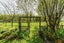 118 Blackman Road, Blackmans, Alexandra - Carousel 24