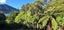 460 Moetapu Bay Road, Moetapu Bay, Picton - Carousel 34