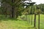 69 Matakohe Wharf Road, Matakohe, Matakohe - Carousel 20