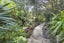 6 Burnham Road, Waitakere, Auckland - Carousel 22