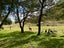 1067 Taylor Pass Road, Taylor Pass, Blenheim - Carousel 27