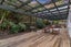 15 Annison Avenue, Glen Eden, Auckland - Carousel 15
