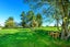 2/184 Wolfes Road, Springston, Christchurch - Carousel 29
