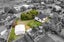 11 Freyberg Crescent, Waikanae Beach, Waikanae - Carousel 23