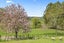 8660 Paeroa Kopu Road, Puriri, Thames - Carousel 17