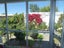48 Birmingham Street, Takaro, Palmerston North - Carousel 16